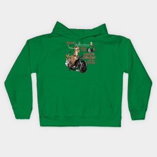 Hide your grandma folks 'cuz Santa's reindeer are on the way Kids Hoodie